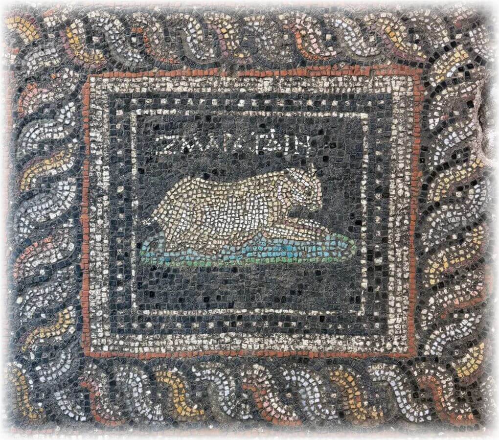 Photo of an ancient mosaic. The border looks like a multi-color braid with tesserae in several colors including yellow, red, white. In the center are several nested borders. The first one is a thin square frame which is made with a single row of red tesserae. Within that is another border of 3 rows of white, gray and black tesserae. Then a single border of black, an alternating row of black and white, another border of black and a single border of white. Within all of these borders is an image on a black background of a light-colored cat laying on a blue-green cushion. Above the cat are the Greek letters ΖΜΑΡΑΓΔΙΝ which translates to Emerald.