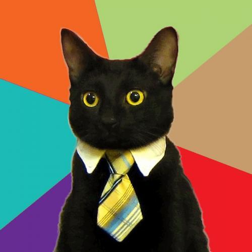 Photo of a short-haired black cat wearing a white collar and a plaid tie in shades of yellow, green and blue. He is staring wide-eyed, straight ahead. The background are triangles of color. Going clockwise from the top right the colors are light green, tan, red, purple, aqua blue and orange.