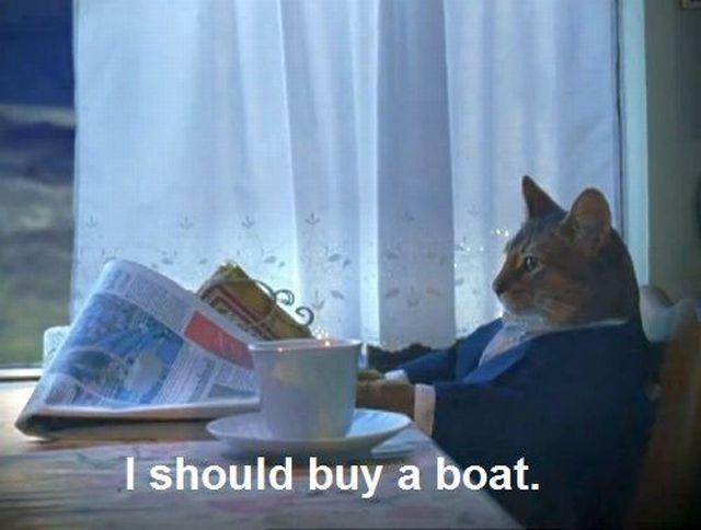 Cat meme. Side view photo of a real cat sitting at a desk, wearing a blue business suit. There is a window mostly covered with a white curtain. There is a white china cup and saucer to the cat's side and he appears to be holding a newspaper but has lowered it and is looking off in the distance. The caption underneath states I should buy a boat.