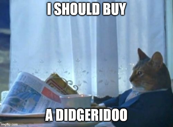 Cat meme. Side view photo of a real cat sitting at a desk, wearing a blue business suit. There is a window mostly covered with a white curtain. There is a white china cup and saucer to the cat's side and he appears to be holding a newspaper but has lowered it and is looking off in the distance. The caption underneath states I should buy a didgeridoo.