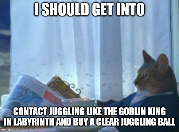 Cat meme. Side view photo of a real cat sitting at a desk, wearing a blue business suit. There is a window mostly covered with a white curtain. There is a white china cup and saucer to the cat's side and he appears to be holding a newspaper but has lowered it and is looking off in the distance. The caption underneath states I should get into contact juggling like the Goblin King in Labyrinth and buy a clear juggling ball.