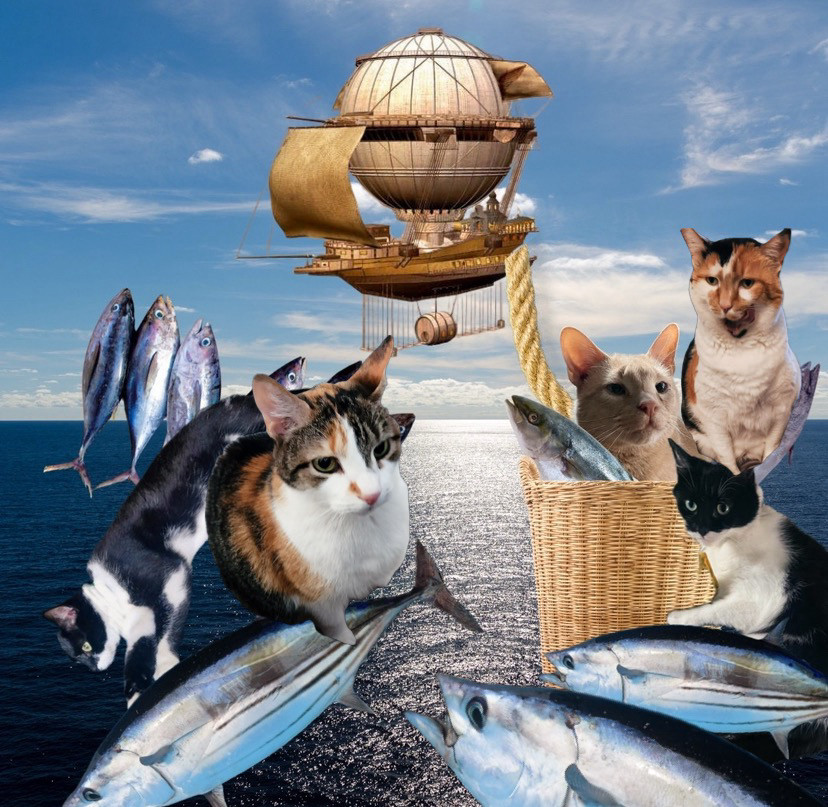 5 cats above the ocean, catching tuna fish. One of the cats is in a basket that has a rope attached to the pirate ship.