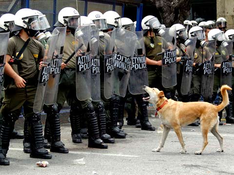 Kanellos, Greek riot dog facing down the police