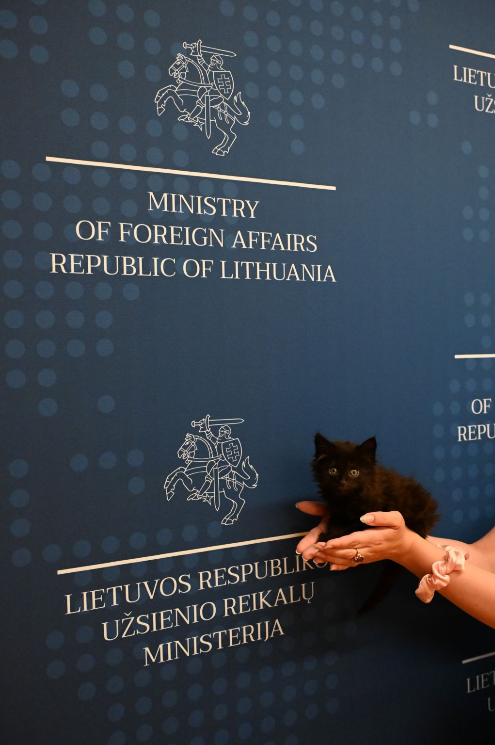 Rango, a tiny black kitten who is the new chief mouser of the ministry of foreign affairs in Lithuania