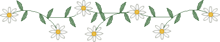 a divider bar of 7 daisies chained together, end to end
