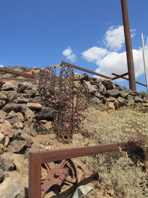 horseshoe cactus