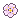 white apricot blossom white apricot blossom