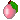 pink apricot pink apricot