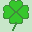 four leaf clover on a light green background