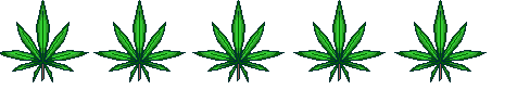 Cannabis leaf