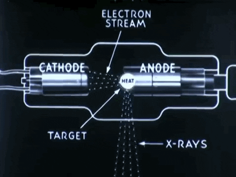 animated image of an xray tube showing the beam of xrays being generated, exiting the tube and diverging